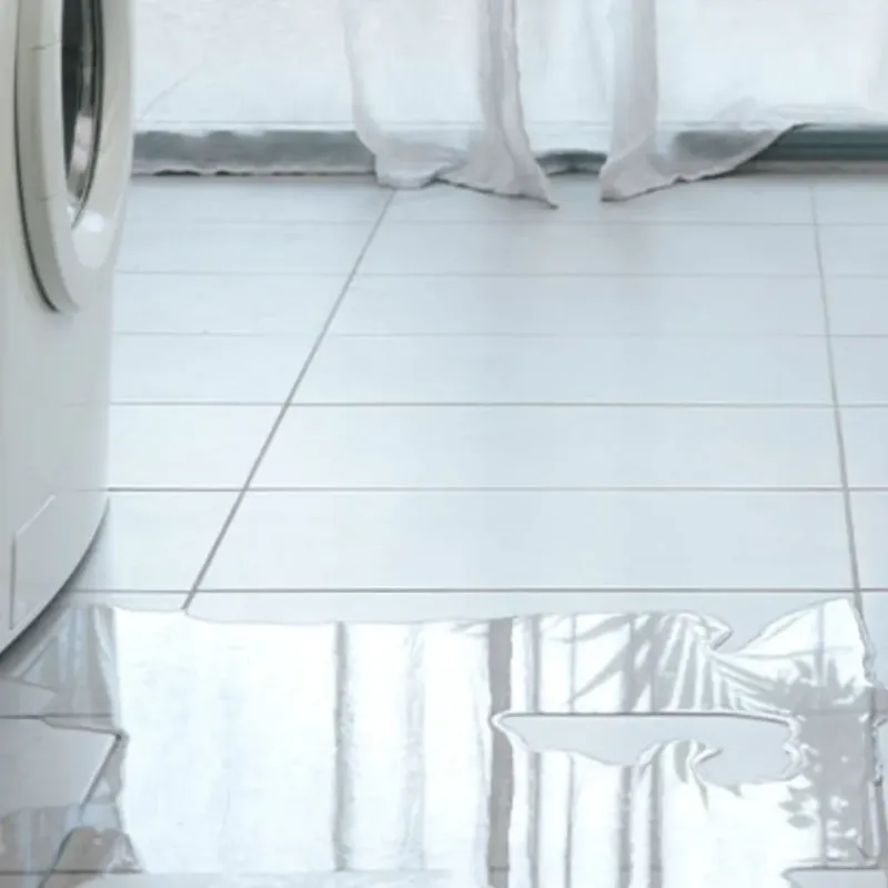 Appliance Leak Cleanup in Neosho County, KS